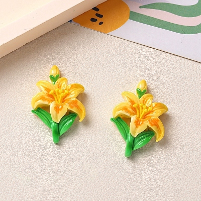 Opaque Resin Cabochons PW-WG0F442-05-1