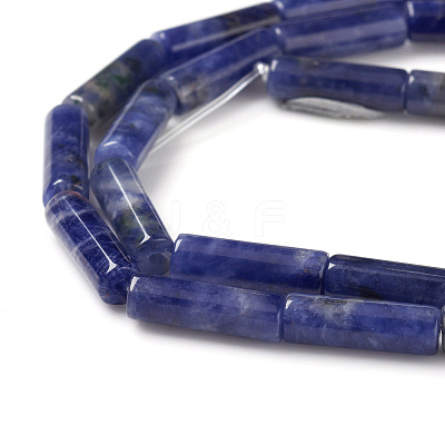 Natural Sodalite Beads Strands G-F247-30-1