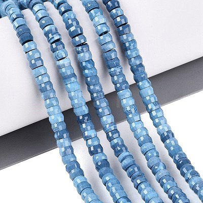 Synthetic Turquoise Beads Strands G-Q606-46A-04-1