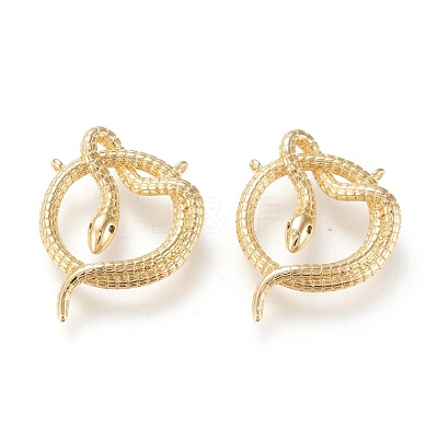 Brass Micro Pave Cubic Zirconia Pendants ZIRC-K086-09G-1