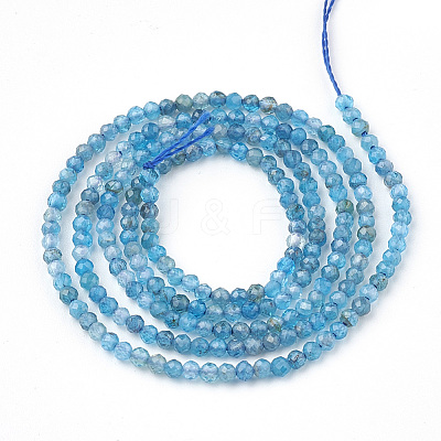 Natural Apatite Beads Strands X-G-T064-17-2mm-1