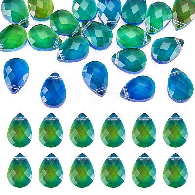 Glass Charms GLAA-TAC0012-28A-1