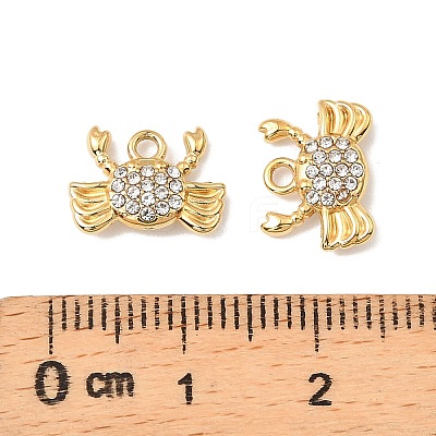 304 Stainless Steel with Crystal Rhinestone Charms STAS-G358-05G-02-1