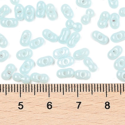 Baking Paint Glass Seed Beads SEED-L011-09A-08-1