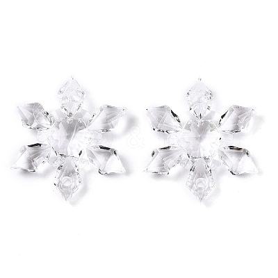 Transparent Acrylic Connector Charms TACR-T028-03B-1