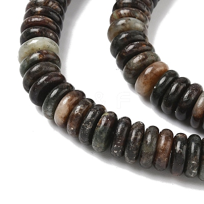 Natural Biotite Beads Strands G-B155-B04-4x10mm-1