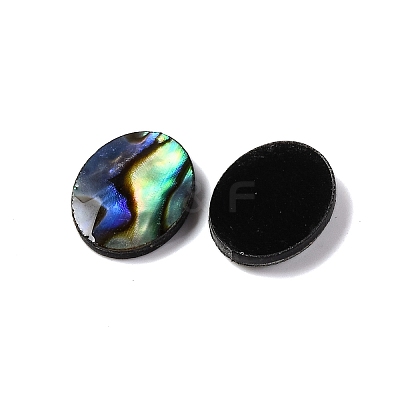 Natural Paua Shell Epoxy Resin Cabochons SSHEL-S279-01G-1