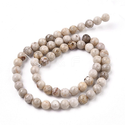 Natural Maifanite/Maifan Stone Beads Strands X-G-I187-6mm-01-1