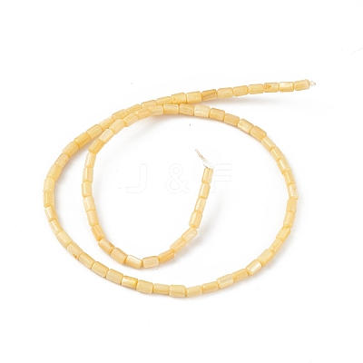 Natural Freshwater Shell Dyed Beads Strands SHEL-M018-12-1