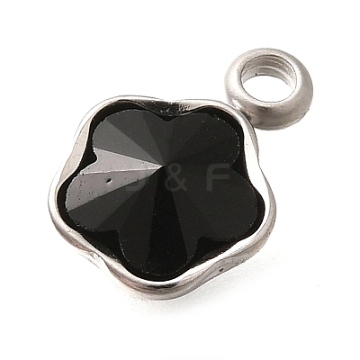 304 Stainless Steel Pendants STAS-Q346-02P-05-1