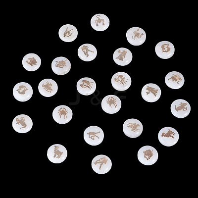 24Pcs 12 Styles Natural Freshwater Shell Beads SHEL-TA0001-42-1