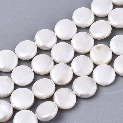 Natural Freshwater Shell Beads Strands SHEL-N026-50A-01-1