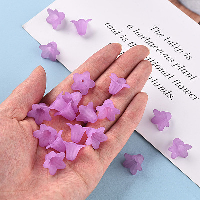 Transparent Acrylic Beads PLF018-04-1