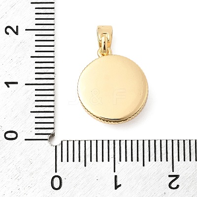 Natural Shell & Clear Cubic Zirconia Charms KK-G553-16G-1
