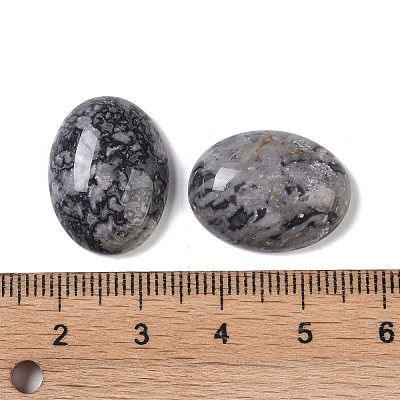 Natural Map Stone Cabochons G-B080-01A-09-1