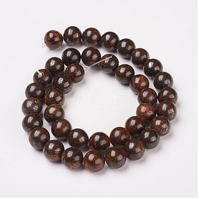 Natural Bronzite Beads Strands G-D169-01-10mm-1