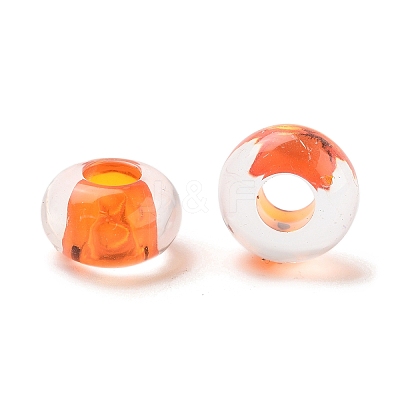 Transparent Acrylic European Beads TACR-P009-C01-09-1