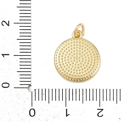 Brass Enamel Pendants KK-L251-02G-E02-1