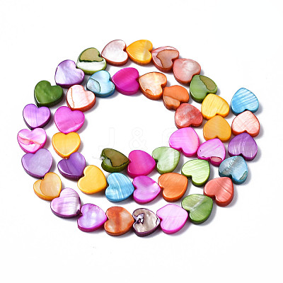 Natural Freshwater Shell Beads Strands SHEL-S278-024A-1