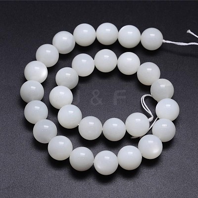 Natural White Moonstone Round Bead Strands G-M262-14mm-04-1