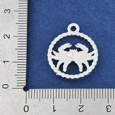 Twelve Constellations Alloy Pendants PALLOY-Q006-01A-S-1