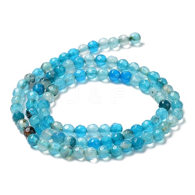 Natural Agate Beads Strands G-Q1000-02H-1