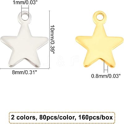 304 Stainless Steel Charms STAS-UN0016-66-1
