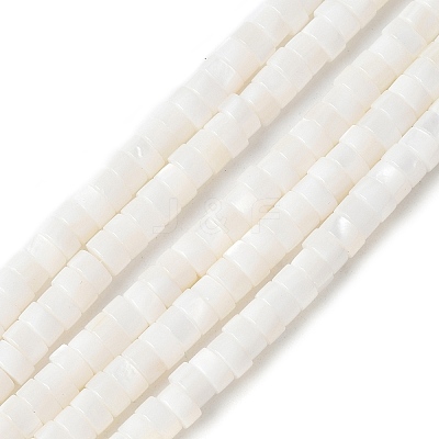 Natural Freshwater Shell Beads Strands SSHEL-C013-04B-1