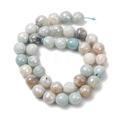 Electroplated Natural Flower Amazonite Beads Strands G-B191-A03-10mm-1