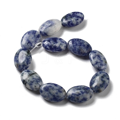 Natural Blue Spot Jasper Beads Strands G-P528-M26-01-1