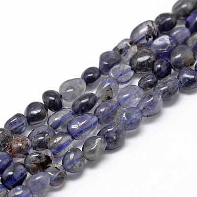 Natural Cordierite/Iolite/Dichroite Beads Strands G-R445-6x8-33-1