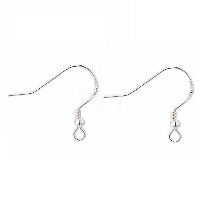 925 Sterling Silver Earring Hooks STER-K167-050S-1