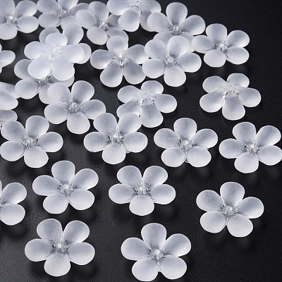Transparent Acrylic Beads MACR-S373-116-D01-1