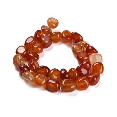 Natural Carnelian Beads Strands G-L595-B01-01-1