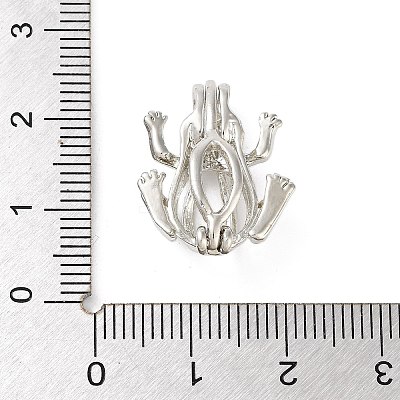 Alloy Bead Cage Pendants LS-FIND-M012-01P-P-1