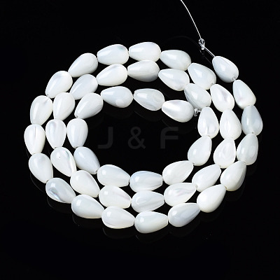 Natural Trochid Shell/Trochus Shell Beads Strands SSHEL-S266-022-1