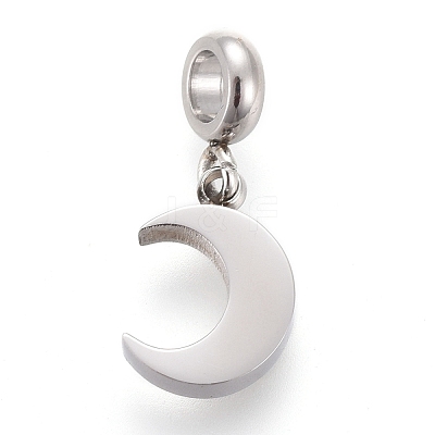 Non-Tarnish 304 Stainless Steel Charms STAS-F259-014P-1