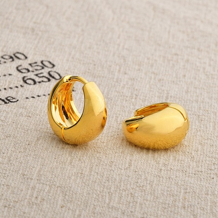 Brass Hoop Earrings EJEW-U055-21G-1
