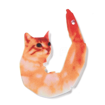 Opaque Printed Acrylic Pendants SACR-F017-03-1