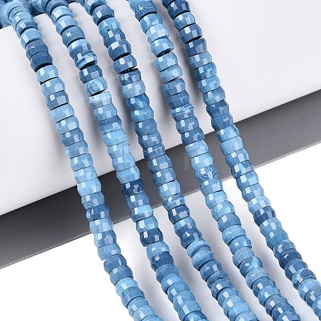 Synthetic Turquoise Beads Strands G-Q606-46A-04-1