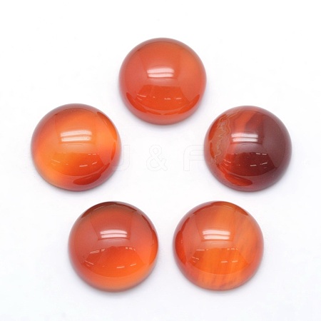 Natural Carnelian Cabochons G-P393-R41-12mm-1