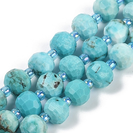 Dyed Natural Howlite Beads Strands G-H057-A18-01-1