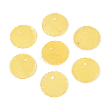 Spray Painted Natural Capiz Shell Disc Charms BSHE-T014-02G-1