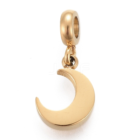 Ion Plating(IP) 304 Stainless Steel Charms LS-STAS-F259-014G-1