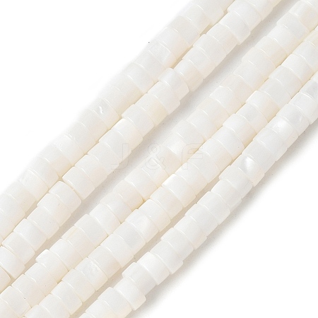 Natural Freshwater Shell Beads Strands SSHEL-C013-04B-1