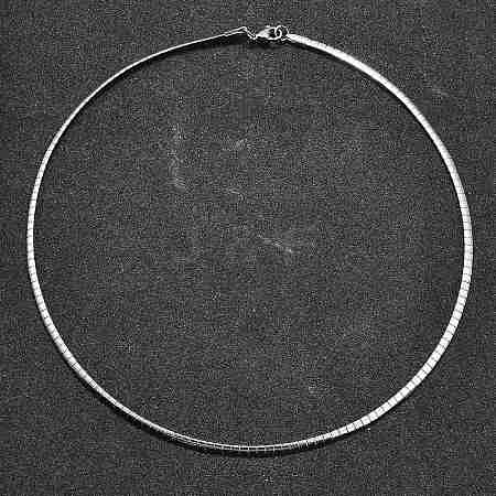 Non-Tarnish 304 Stainless Steel Necklaces NJEW-D274-01P-1