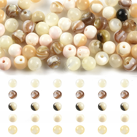 100Pcs 5 Styles Natural White Shell & Trochid Shell & Freshwater Shell Beads SSHEL-YW0001-17-1