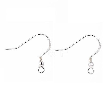 925 Sterling Silver Earring Hooks STER-K167-050S-1