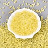 FGB Frosted Transparent Glass Seed Beads SEED-N013-05A-02-2