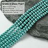 Grade A Glass Pearl Beads LS-HY-J001-4mm-HX052-3